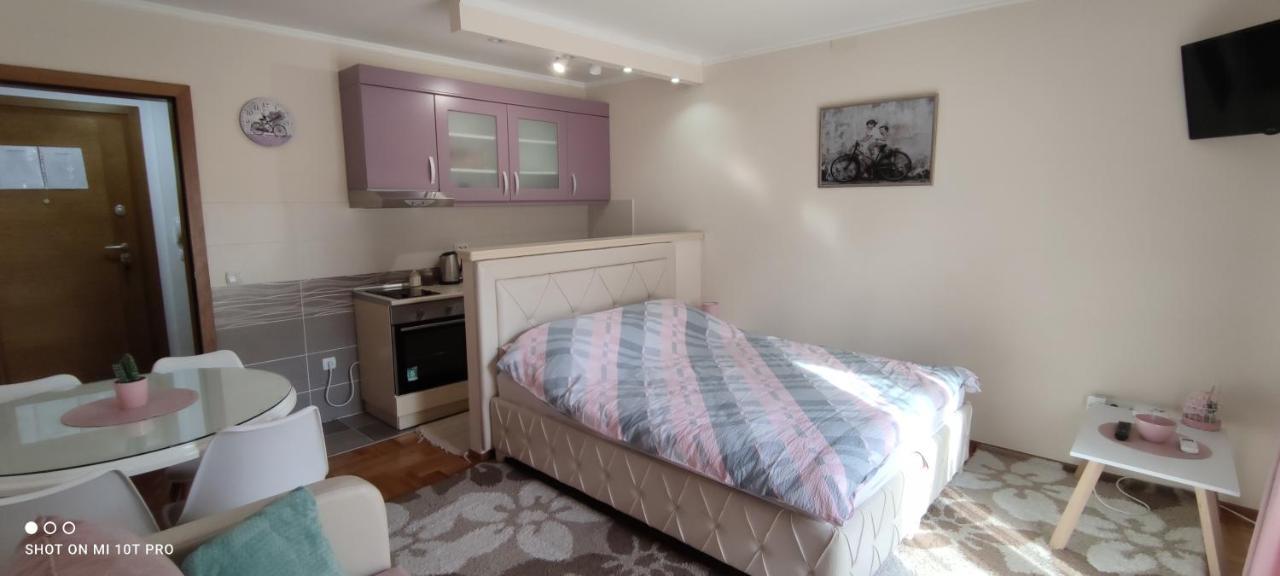 Alex 2 Apartman Vrnjacka Banja Exterior photo